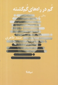 گم در راه های گم گشته